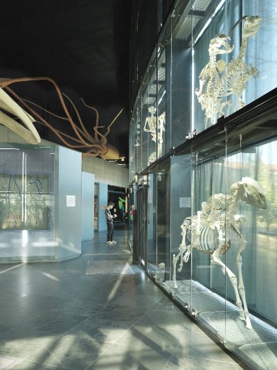 DOMESTIQUE-MOI SI TU PEUX !