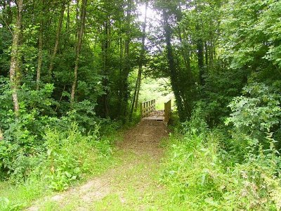 Forêt de Sainte-Flaive-des-Loups
