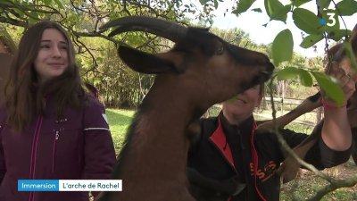 SOS Animaux de la ferme pédagogique