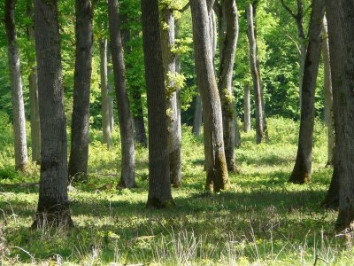 Panorama à la Chapelle Saint Michel