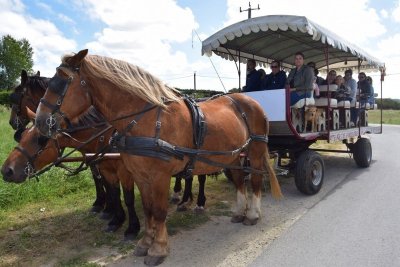 Les hauts de Bouillon