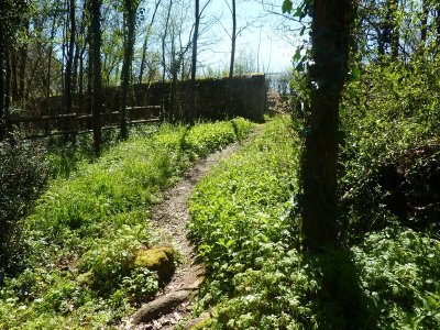 Clos de l'Oncle Georges