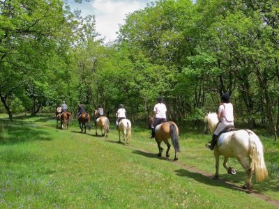 Centre équestre Poney Club