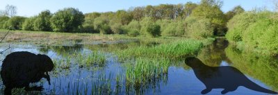 MARAIS DE L'ÎLE ET BATEAU-CHAÎNE