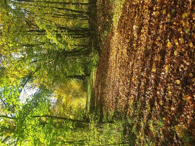 Domaine de Flotin, maison de la biodiversité