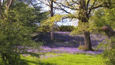 Le chemins des fontaines