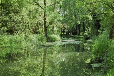 Vallée de l'Essonne