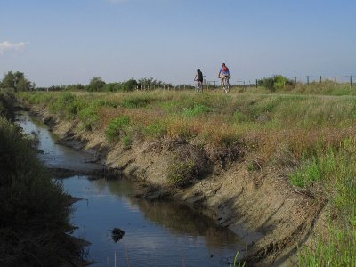 La Camargue à Vélo (étape 3) : Le Rhône, entre mythes et jardin nourricier