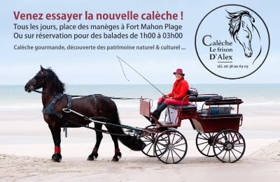 Calèche le Frison d'Alex