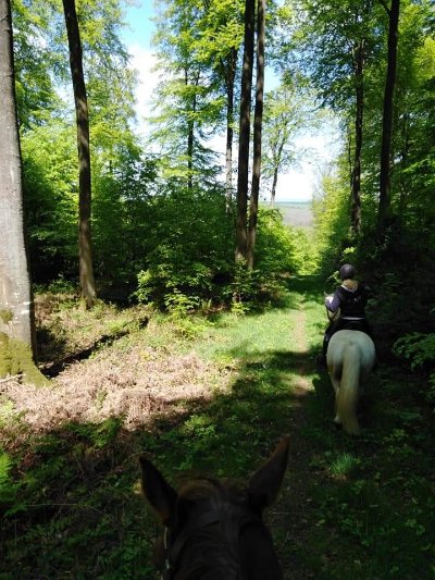 Ecurie du Val au Cesne