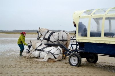 Calèche Ma Baie de Somme