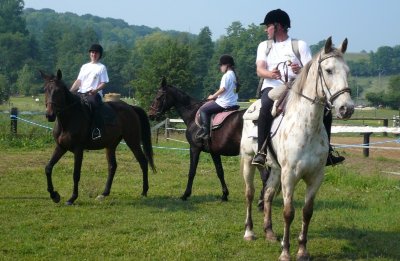 Les chevaux d'Agnetz