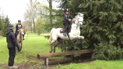 Centre Equestre - Ecuries de la Falize