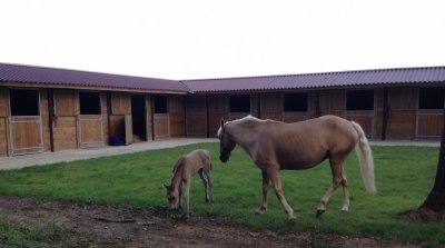 Les écuries de l'Automne