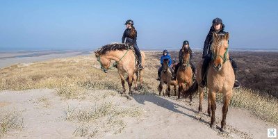Espace Equestre L'Etrier