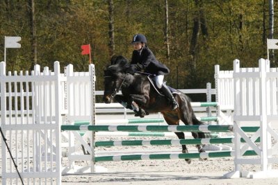 Centre équestre - Poney-Club - Élevage Joliebrise