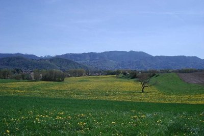 Le Trésor de Gigi, Sentier ludique
