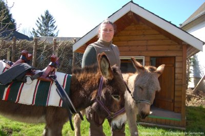 Escapades en Baie de Somme