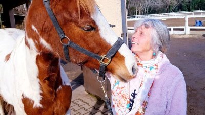 Centre Equestre Cheval et Soleil