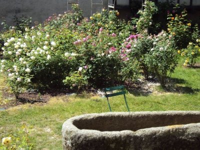 Roseraie de Sauveterre de Rouergue