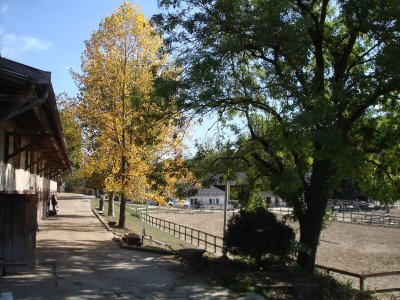 Centre équestre du Moulin et Elevage d'Aramis