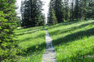 Randonnée Pédestre : La Mouille de Covetan