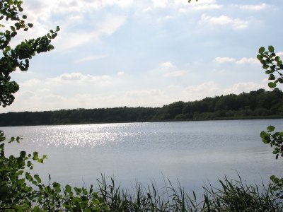Etang des Noues
