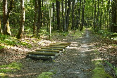 Circuit du chemin Henri IV