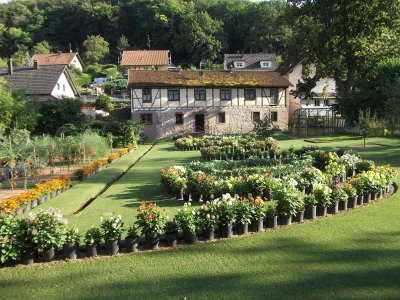 Le moulin et ses jardins