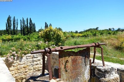 De silhouettes en silhouettes : Cultiver un moment de sérénité