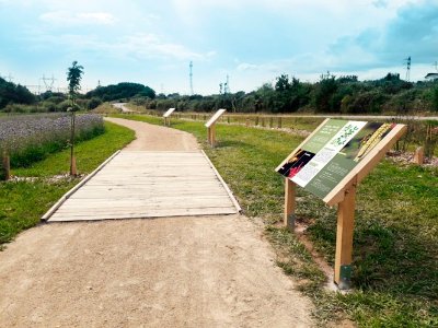 Le Vallon des Butineurs