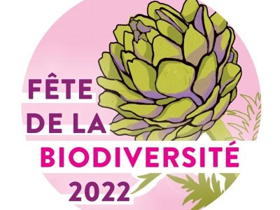 Circuit VTT n° 80 le Void des roches