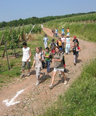 Sentier découverte : la nature et l'eau