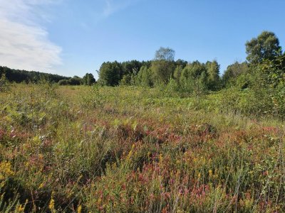 Piscine municipale - Sérent