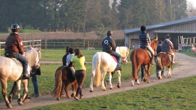 Association Cheval Espérance