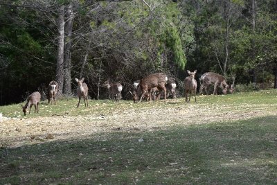 LE PARC DE COULONDRES