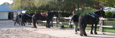 Centre équestre La Cavale Merens