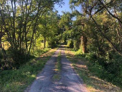 Balade du château de Pannessière