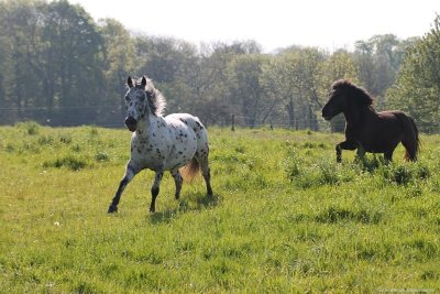 Ferme équestre de Beaufresne