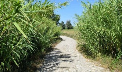 La Roque d'Anthéron - Sentier des Iscles