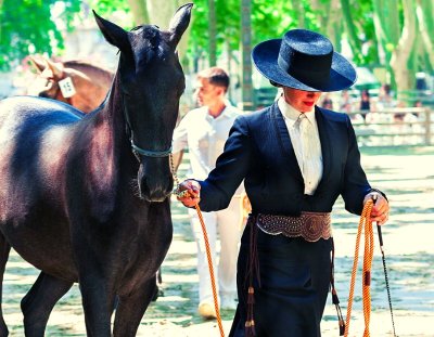 Les écuries Heinola