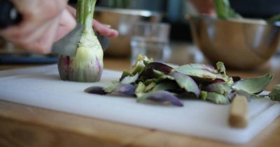 Le parc de l'Arbousière