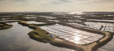 Jour 1 - La Baule, Guérande & les marais salants