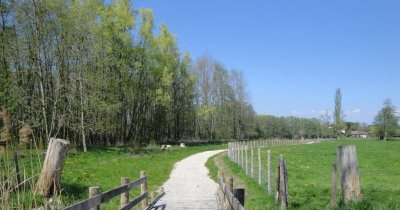 Balade audioguidée - Découverte d'Annemasse