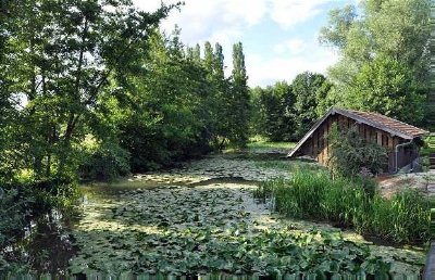 Parc botanique du Gué