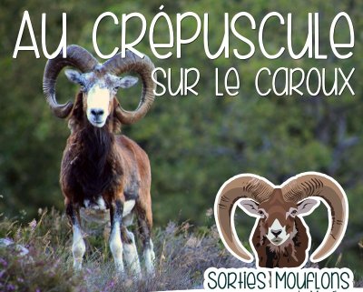 TRAIL ENTRE CAROUX ET ESPINOUSE