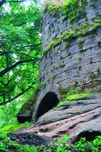 Sentier thématique : Le sentier du Château de Salm
