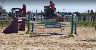 Centre équestre Cheval et Provence