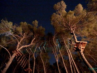 Indian Forest Bouc Bel Air