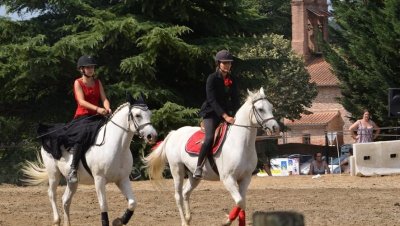 LA JUMENTERIE DE TIAOUS